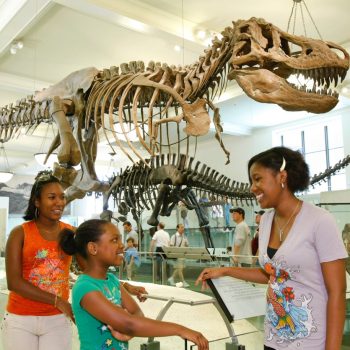dinosaurio-familia-museo-historia-natural